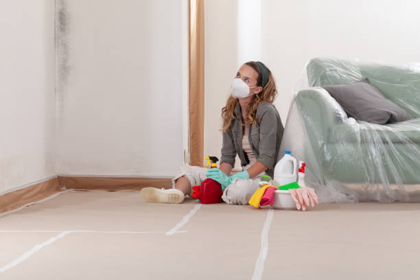 Reliable Mold Testing contractor in Gwynedd, PA by WQB Mold Removal